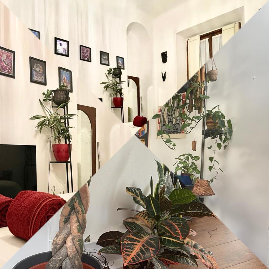 La Stanza Della Giungla Apartment Milan Luaran gambar